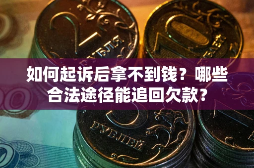 武汉如何起诉后拿不到钱？哪些合法途径能追回欠款？