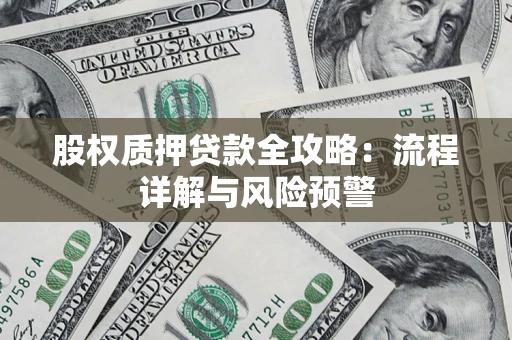 武汉股权质押贷款全攻略：流程详解与风险预警