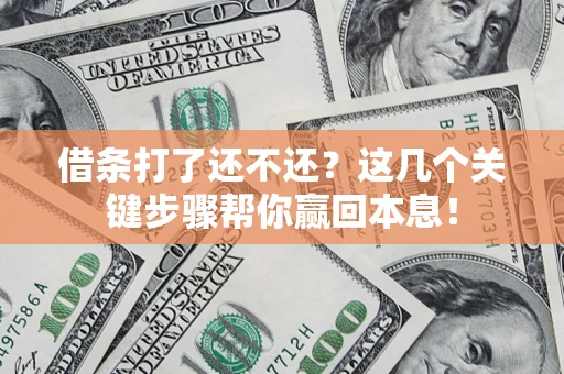 武汉借条打了还不还？这几个关键步骤帮你赢回本息！