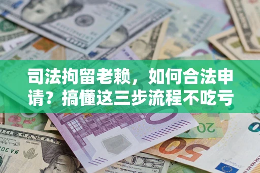 武汉司法拘留老赖，如何合法申请？搞懂这三步流程不吃亏！