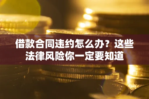 武汉借款合同违约怎么办？这些法律风险你一定要知道