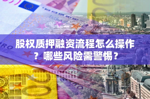 武汉股权质押融资流程怎么操作？哪些风险需警惕？