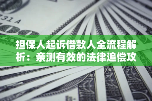 武汉担保人起诉借款人全流程解析：亲测有效的法律追偿攻略