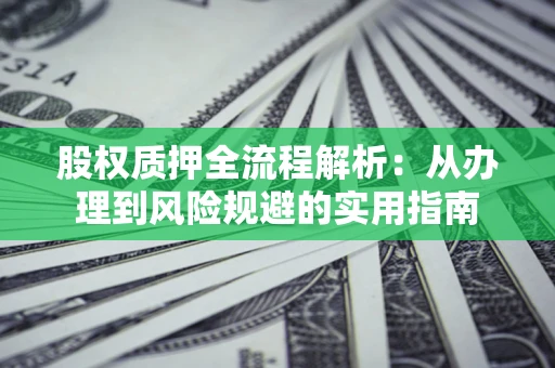 武汉股权质押全流程解析：从办理到风险规避的实用指南