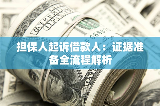 武汉担保人起诉借款人：证据准备全流程解析