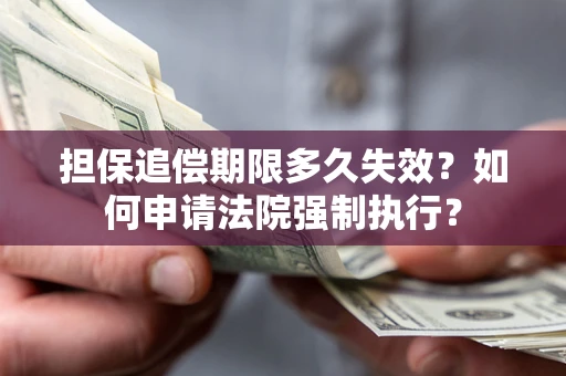 武汉担保追偿期限多久失效？如何申请法院强制执行？