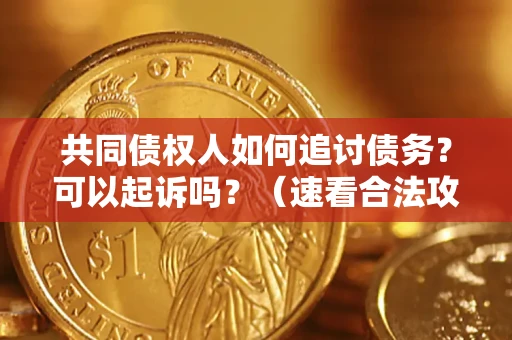 武汉共同债权人如何追讨债务？可以起诉吗？（速看合法攻略）