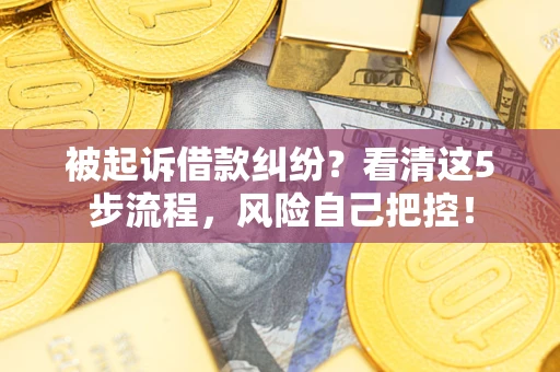 武汉被起诉借款纠纷？看清这5步流程，风险自己把控！