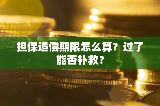 武汉担保追偿期限怎么算？过了能否补救？